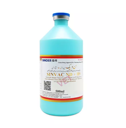 ไก่ที่พบได้บ่อยที่สุดคืออะไร?