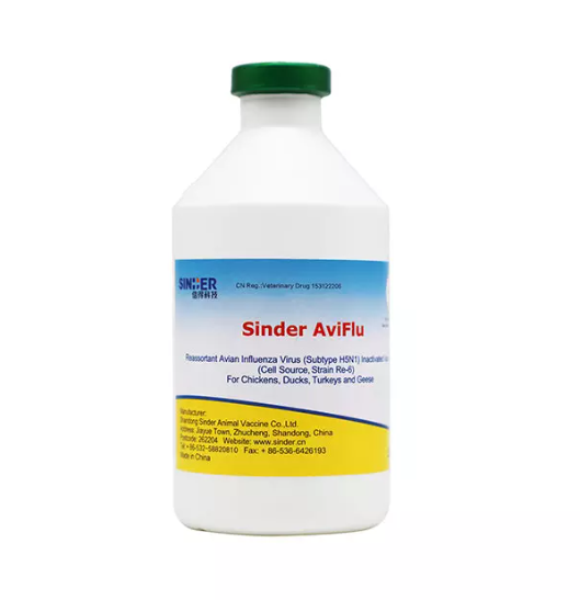 ไข้หวัดนกส่งผลต่อสุขภาพสัตว์ปีกอย่างไร?