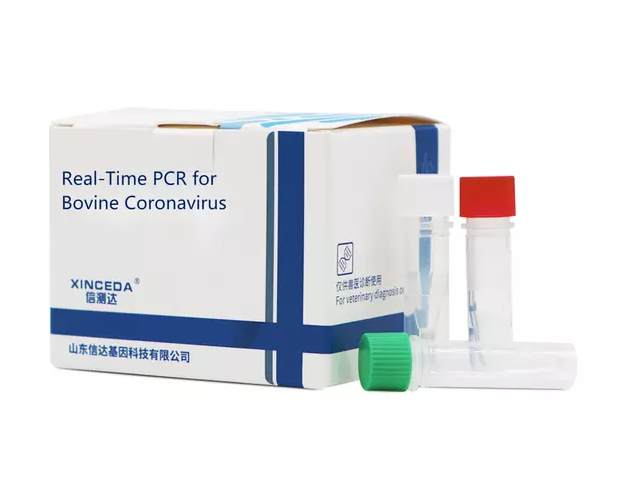 การตรวจหาไวรัสโรคนิวคาสเซิล (NDV) ด้วย PCR