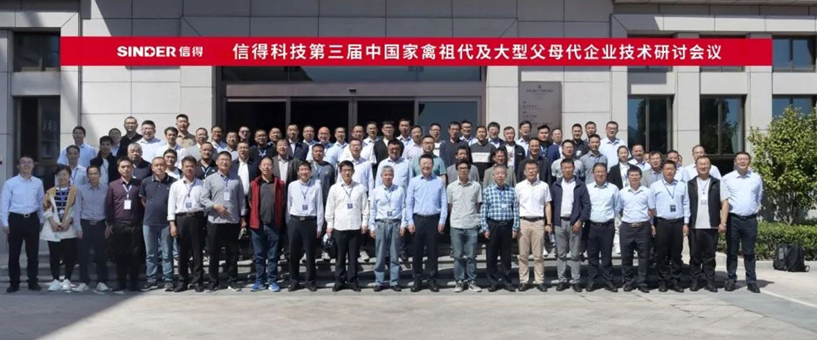 ซินเดอร์