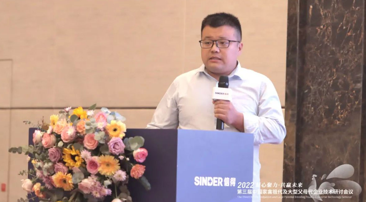 ซินเดอร์