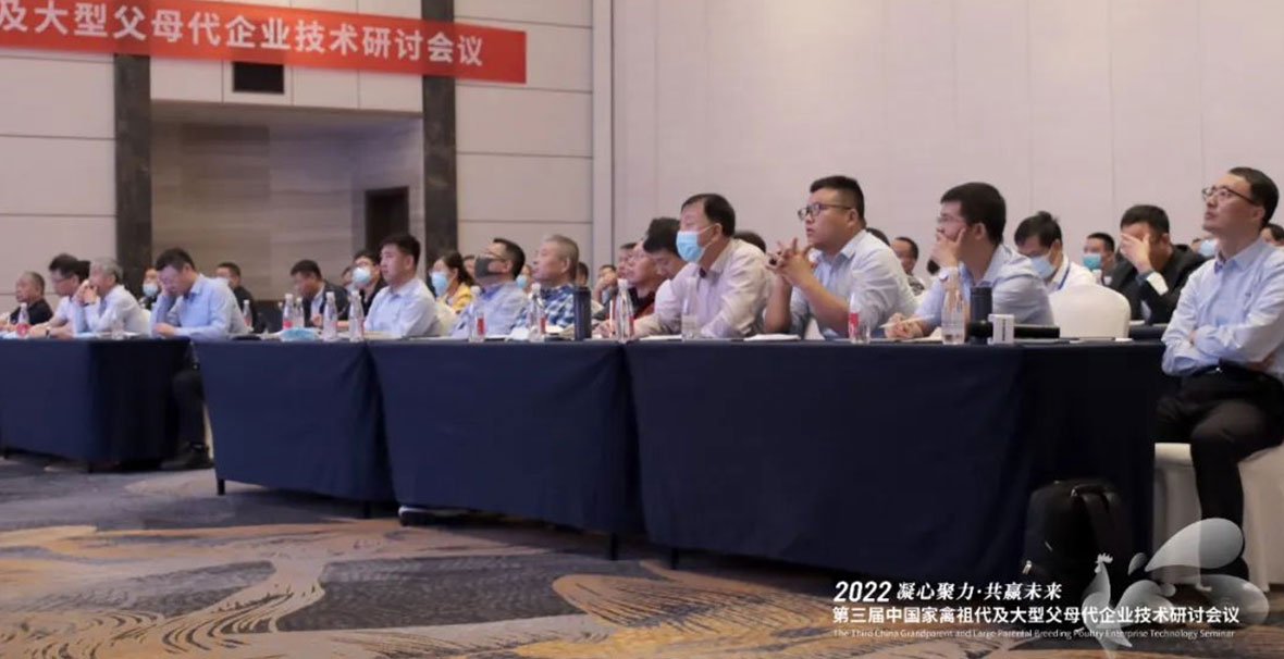 ซินเดอร์