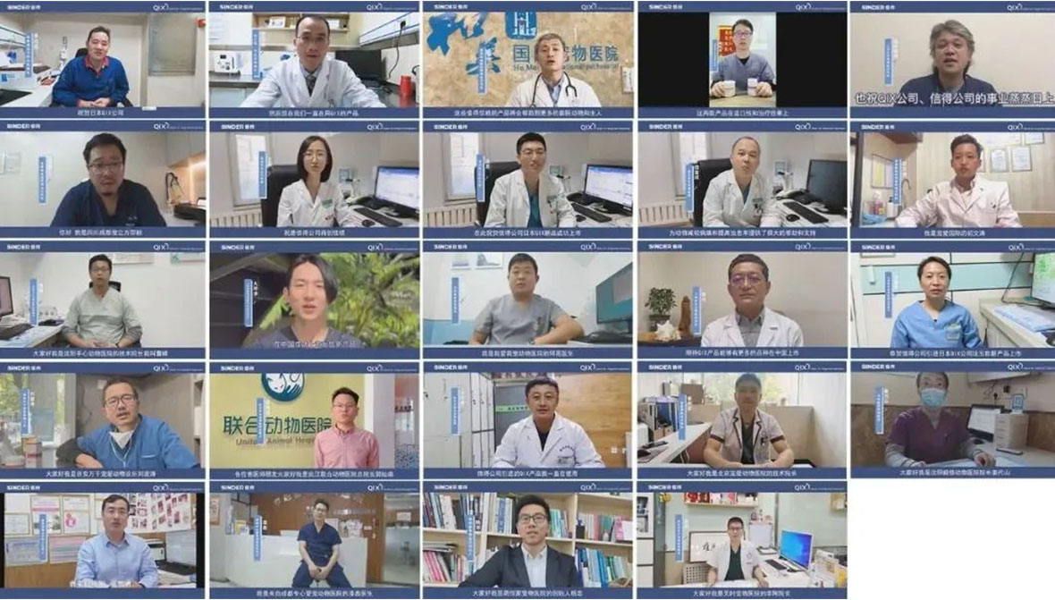 ซินเดอร์