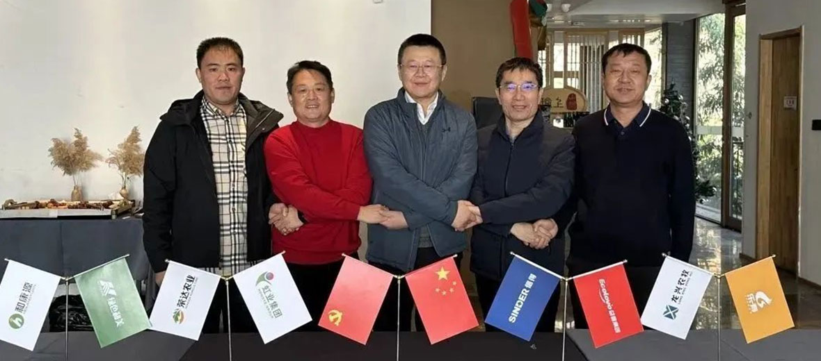 ซินเดอร์