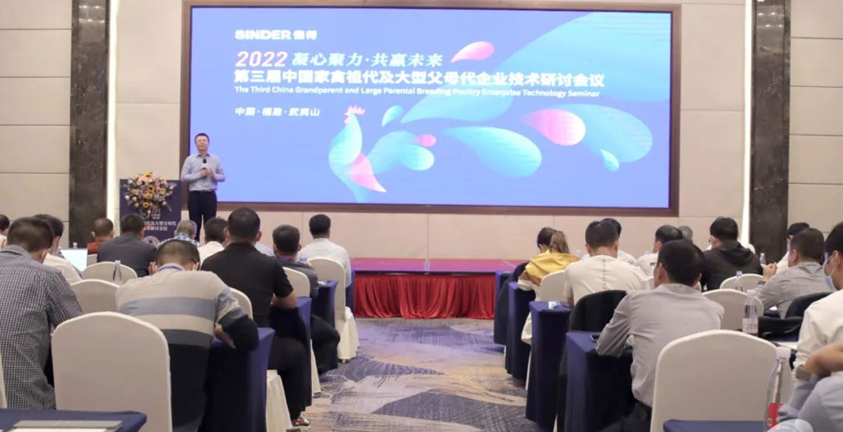 ซินเดอร์