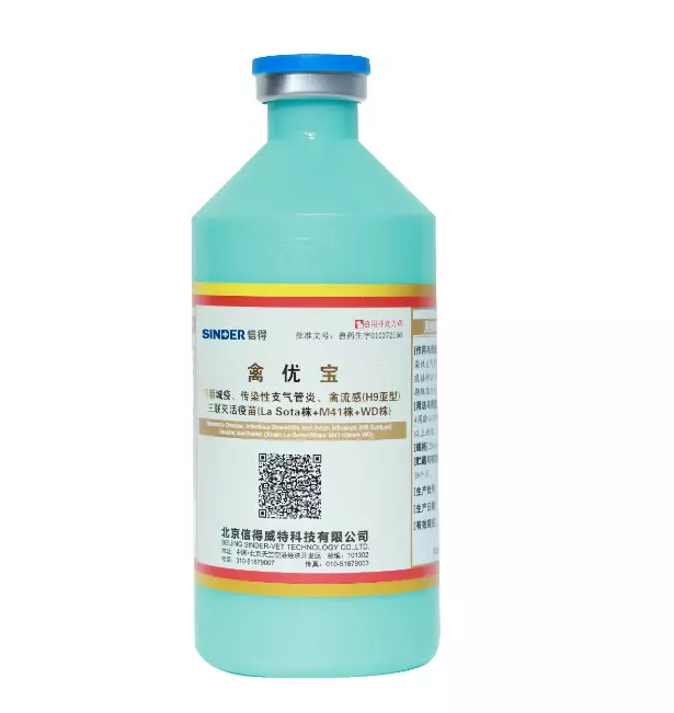 มันคุ้มค่ากับการฉีดวัคซีนไก่หรือไม่?