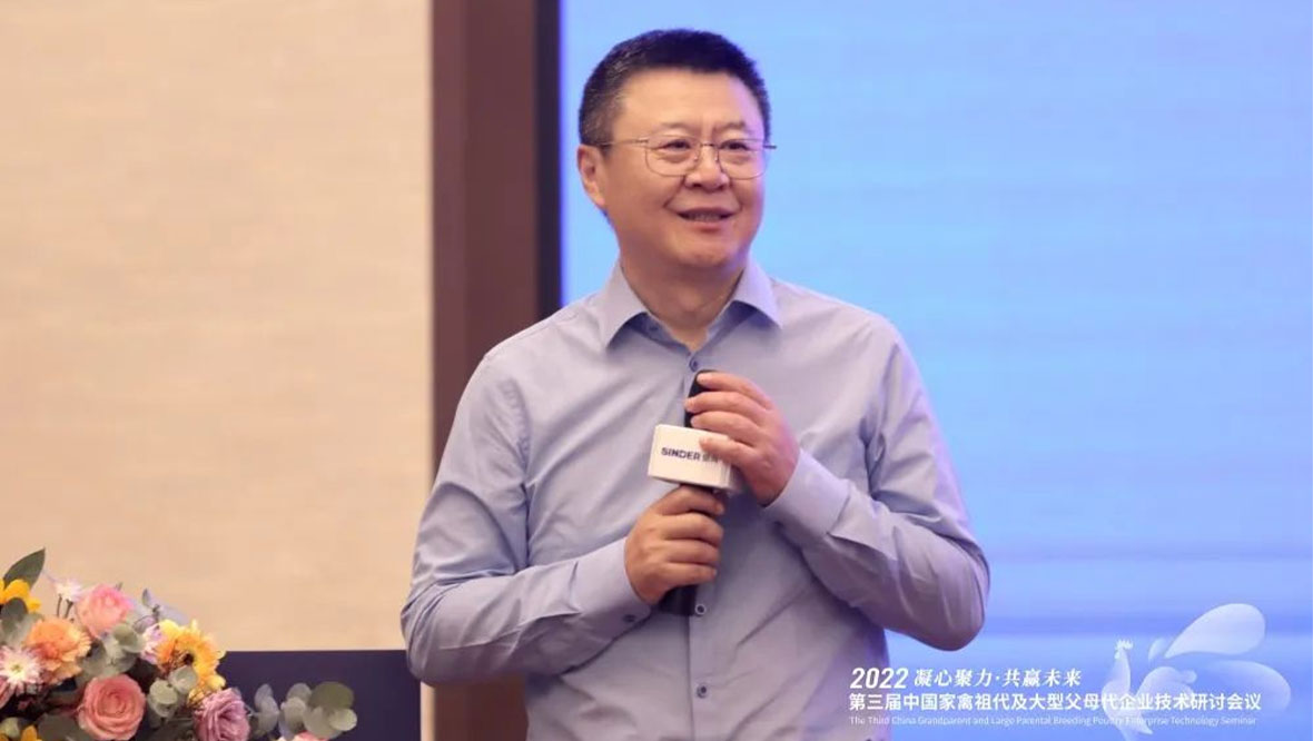 ซินเดอร์