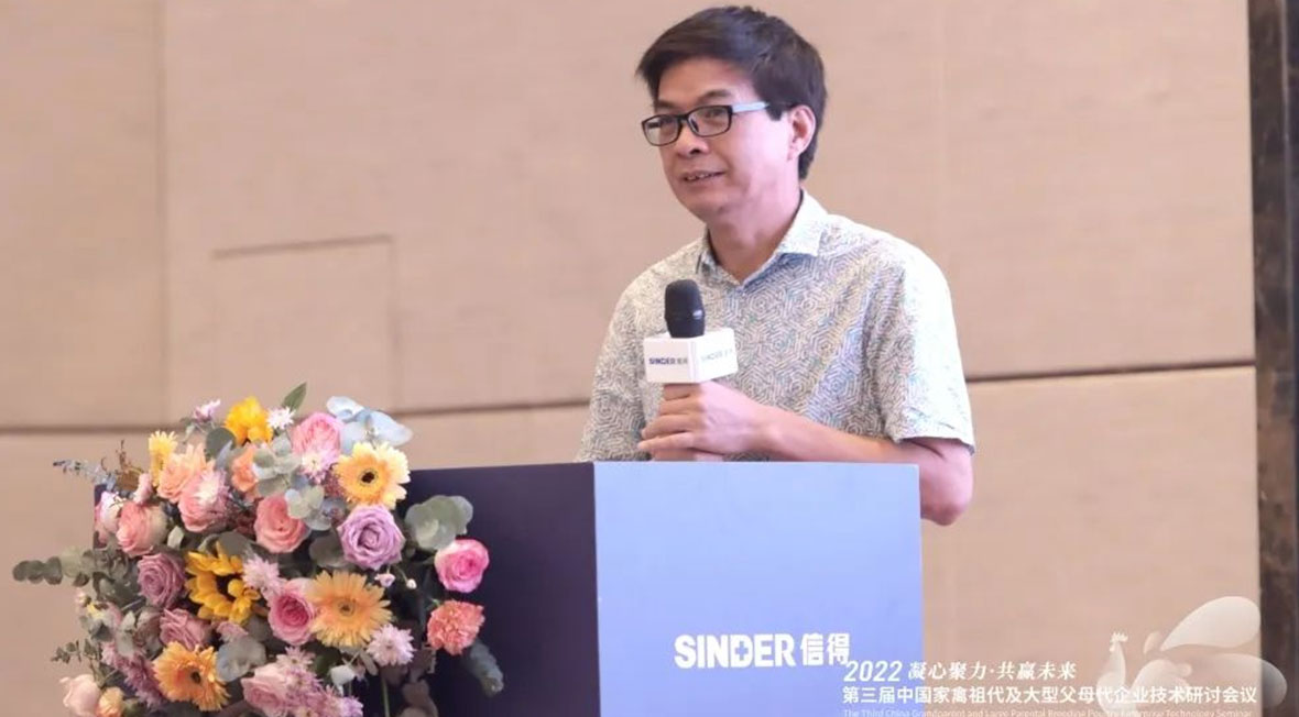 ซินเดอร์