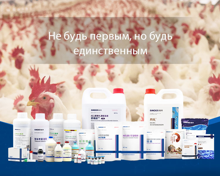 บทบาทของการแพทย์ในการดูแลสุขภาพปศุสัตว์